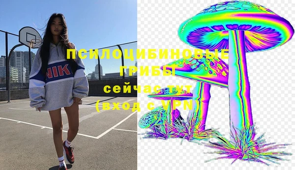 метадон Алексеевка