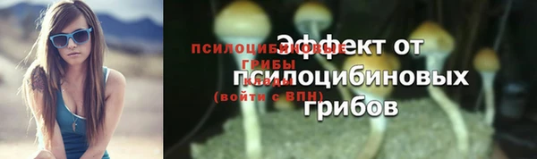 2c-b Алзамай