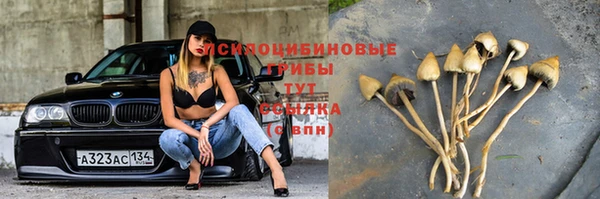 2c-b Алзамай