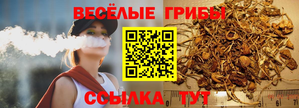 Галлюциногенные грибы прущие грибы  Вход с VPN  купить наркотик  Курск 